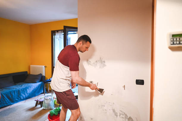 Best Mold Remediation  in Mineral Wells, TX