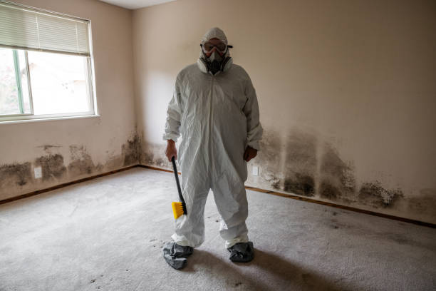 Best Emergency Mold Removal  in Mineral Wells, TX