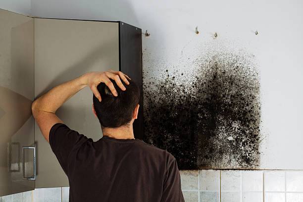 Best Crawl Space Mold Removal  in Mineral Wells, TX